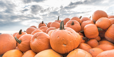Pumpkin Spice is Everything Nice, For Your Skin